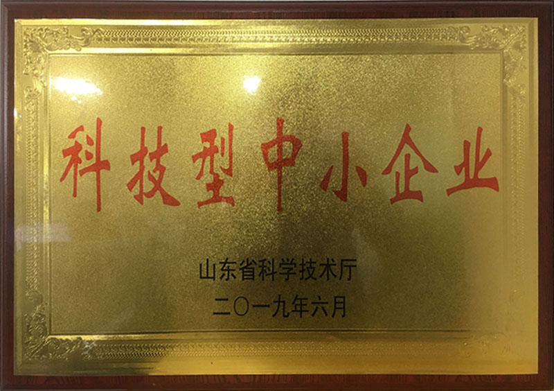 科技型中小企业