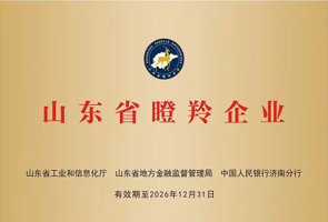 山东省瞪羚企业